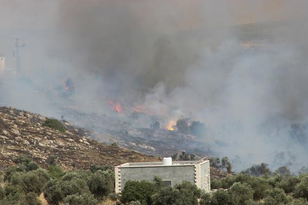مستعمرون يحرقون محاصيل زراعية شمال غرب نابلس
