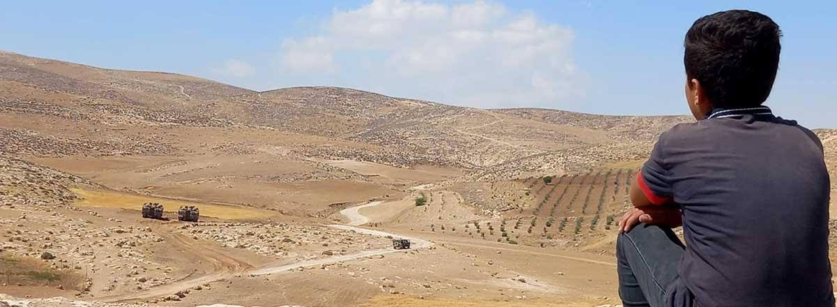 مستعمرون يخربون مزروعات المواطنين ويسرقون حمارا بمسافر يطا