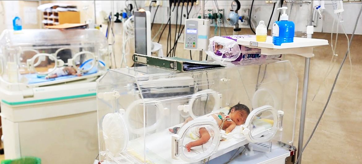 67 طفلا في غزة استشهدوا بسبب سوء التغذية وأكثر من 650 ألفا في خطر مباشر