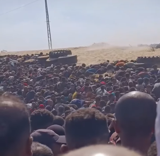 استشهاد 21 مواطنا من منتظري المساعدات بينهم 15 اختناقا بالغاز السام جنوب خان يونس